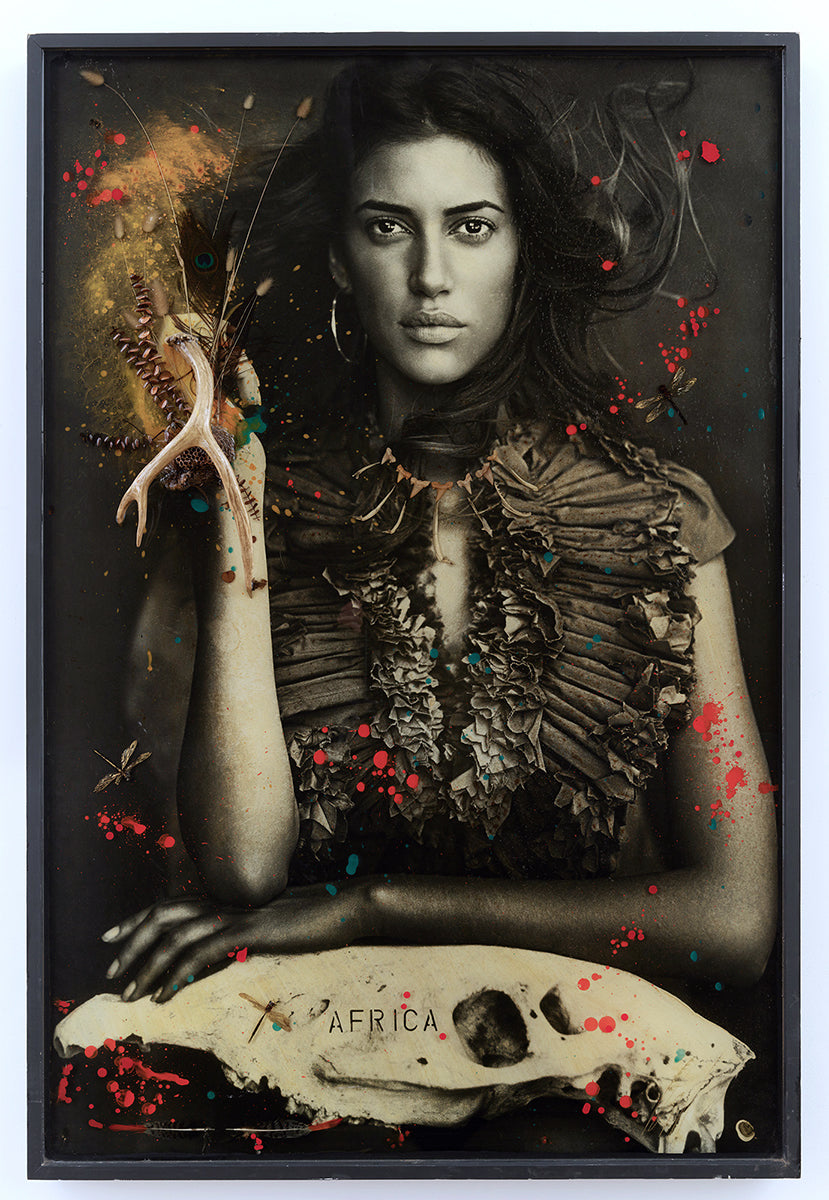 Bones - Dragonfly from Africa (Bianca)