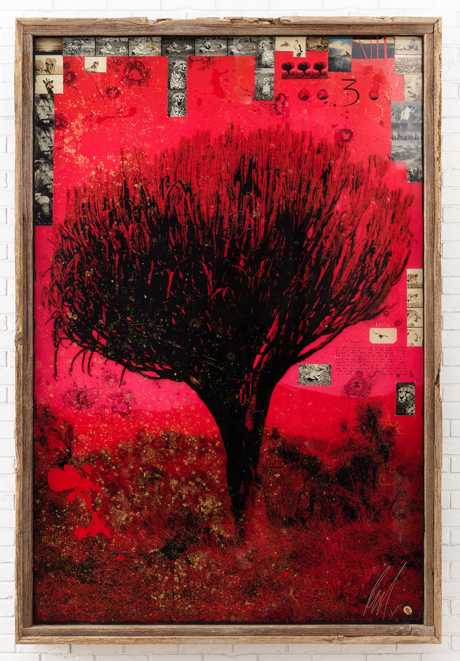 Red Tree, 2018, Raphael Mazzucco