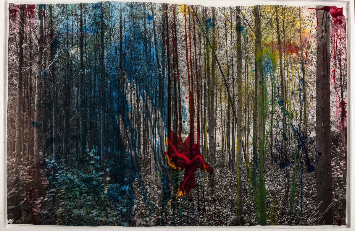 Forest Blues