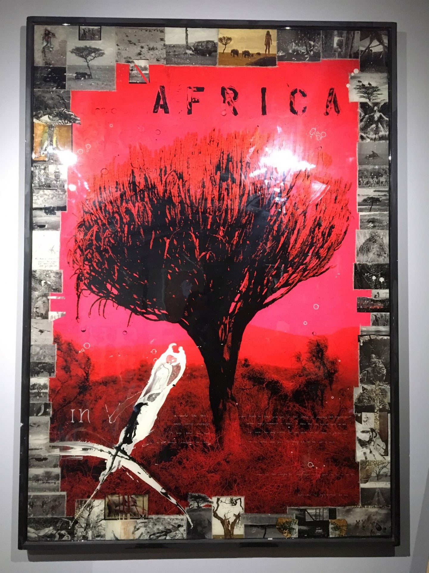 Africa, 2016