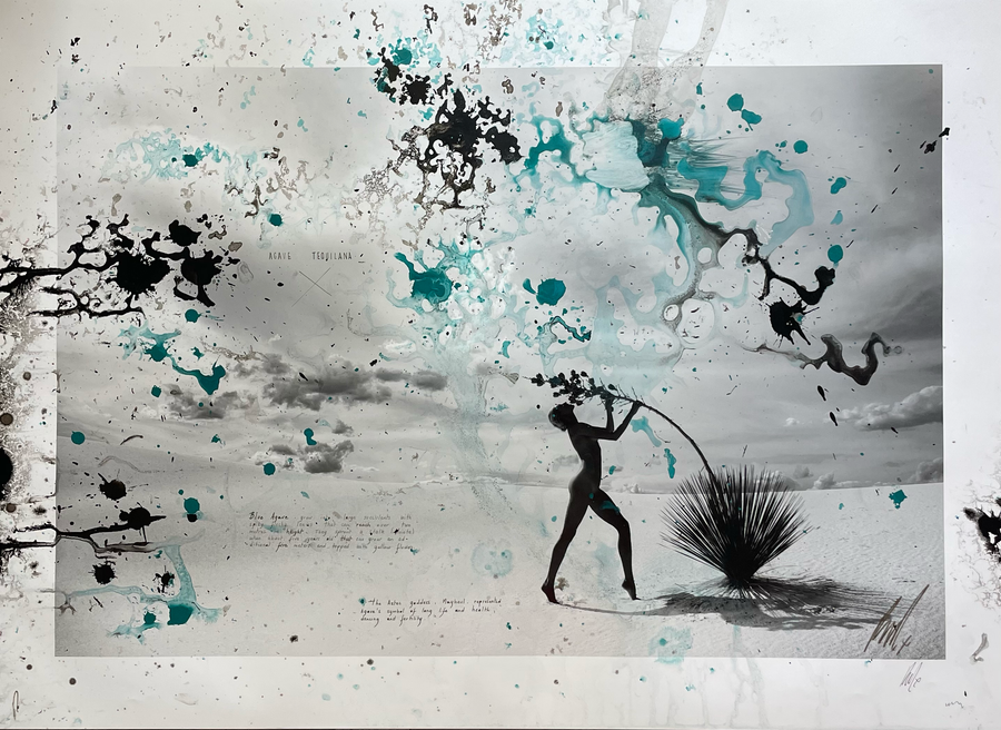 Raphael Mazzucco' Agave' 2015, Raphael Mazzucco